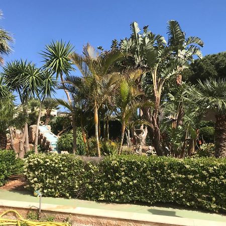 Le Palme Tropicali Apartamento San Vito Lo Capo Exterior foto