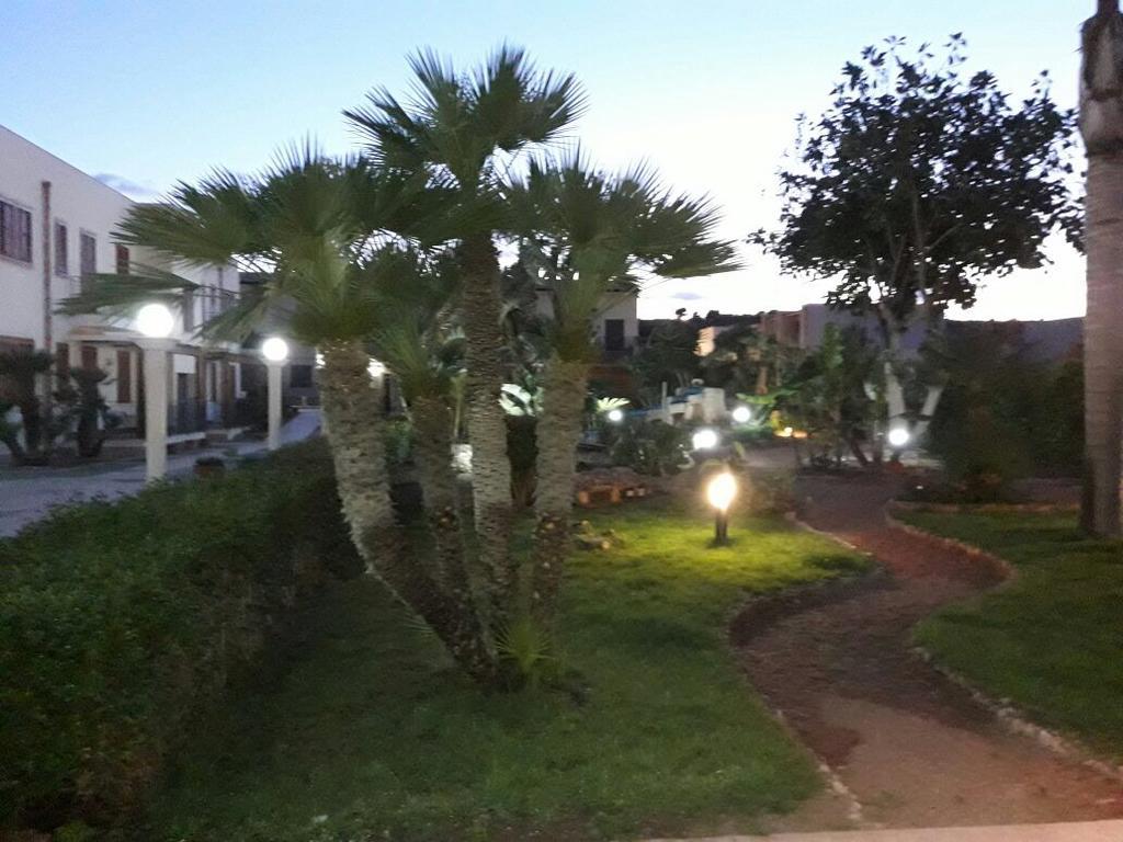 Le Palme Tropicali Apartamento San Vito Lo Capo Exterior foto